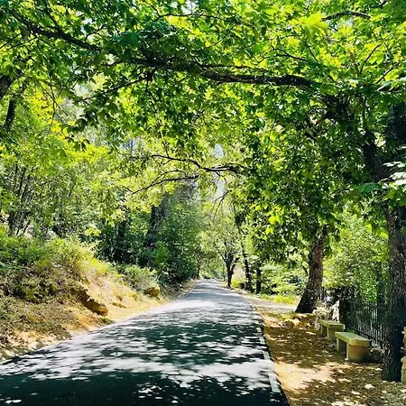 Rural Mi Pequena Lulu Tr-cc-00564 Gata