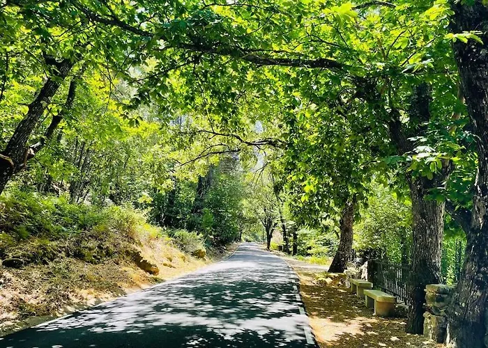 Rural Mi Pequena Lulu Tr-cc-00564 Gata