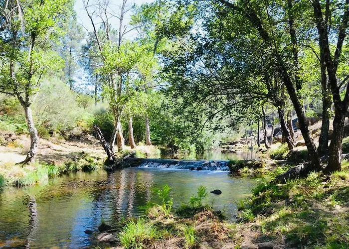 Rural Mi Pequena Lulu Tr-cc-00564