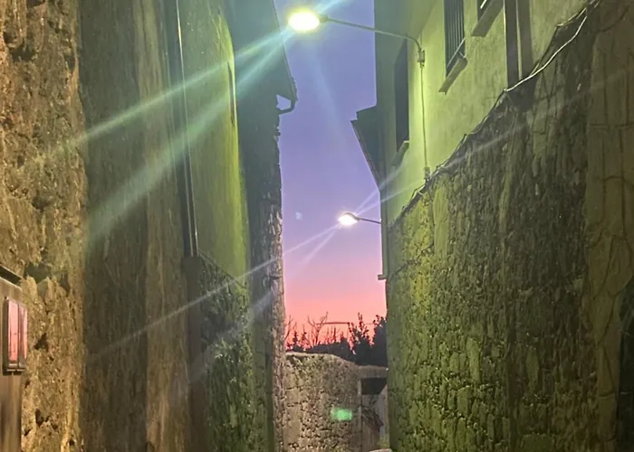 Rural Mi Pequena Lulu Tr-cc-00564 *